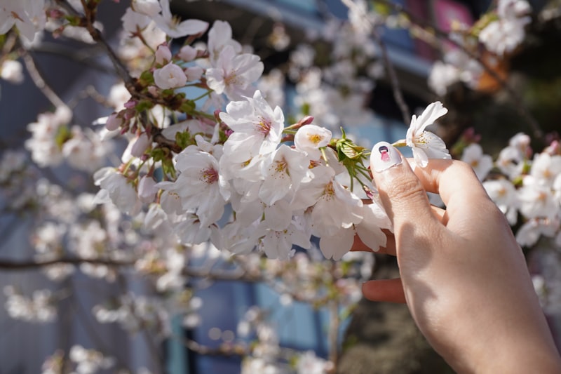 OPI vs Gel: Qué Esmaltado Encaja con Tu Estilo de Vida